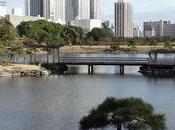 Tokio; jardines Hamarikyu sótanos estación Tokio